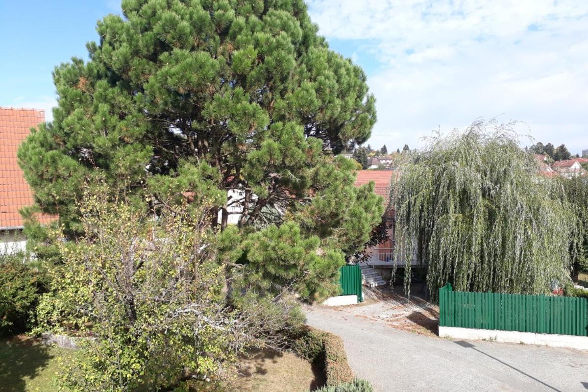 Appartement Independant A Proximite De Belfort Essert Ngoại thất bức ảnh